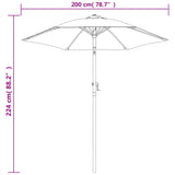 Чадър за слънце, антрацит, 200x224 см, алуминий